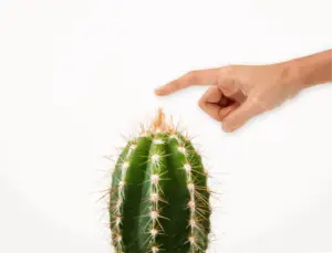 Read more about the article Social inzetten voor B2B?