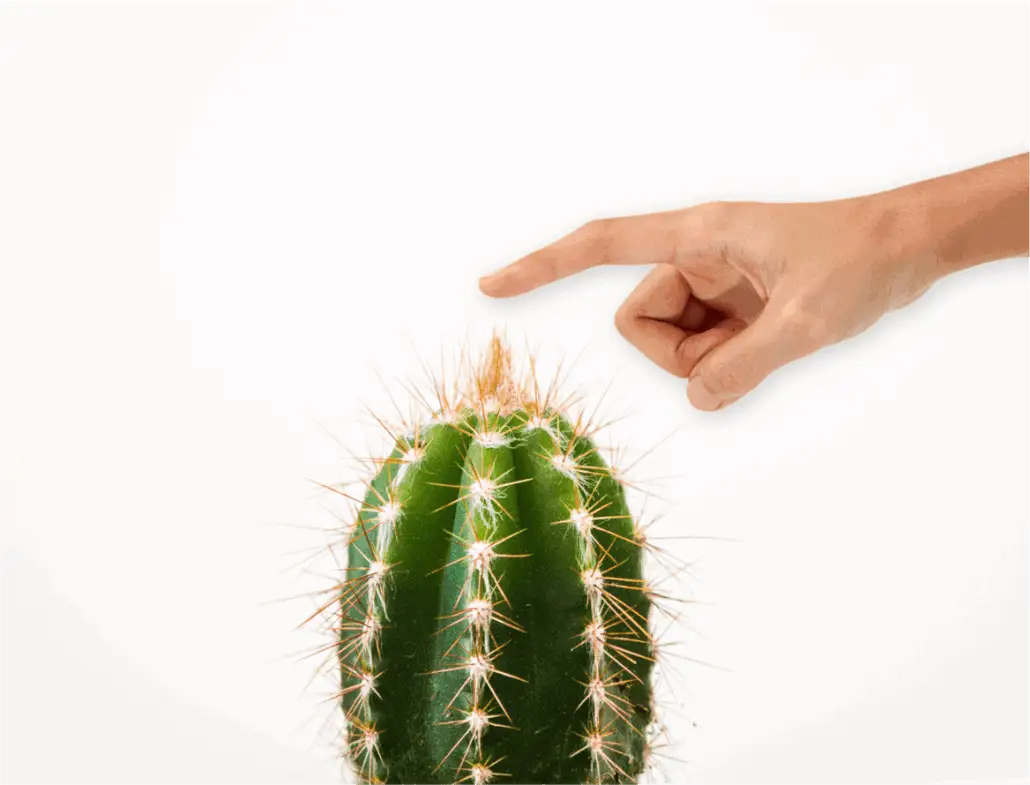 Read more about the article Social inzetten voor B2B?